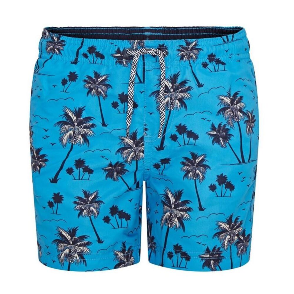 RIPT Essentials Boys Palm Tree Swim Shorts / Blue